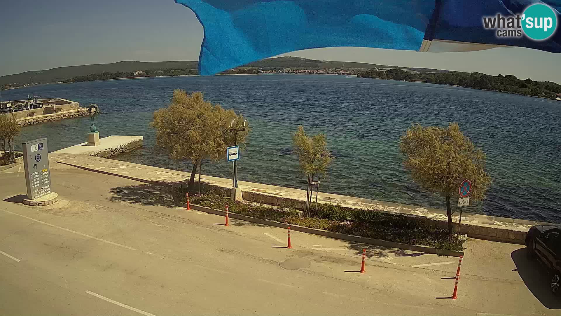 Live Cam Pašman