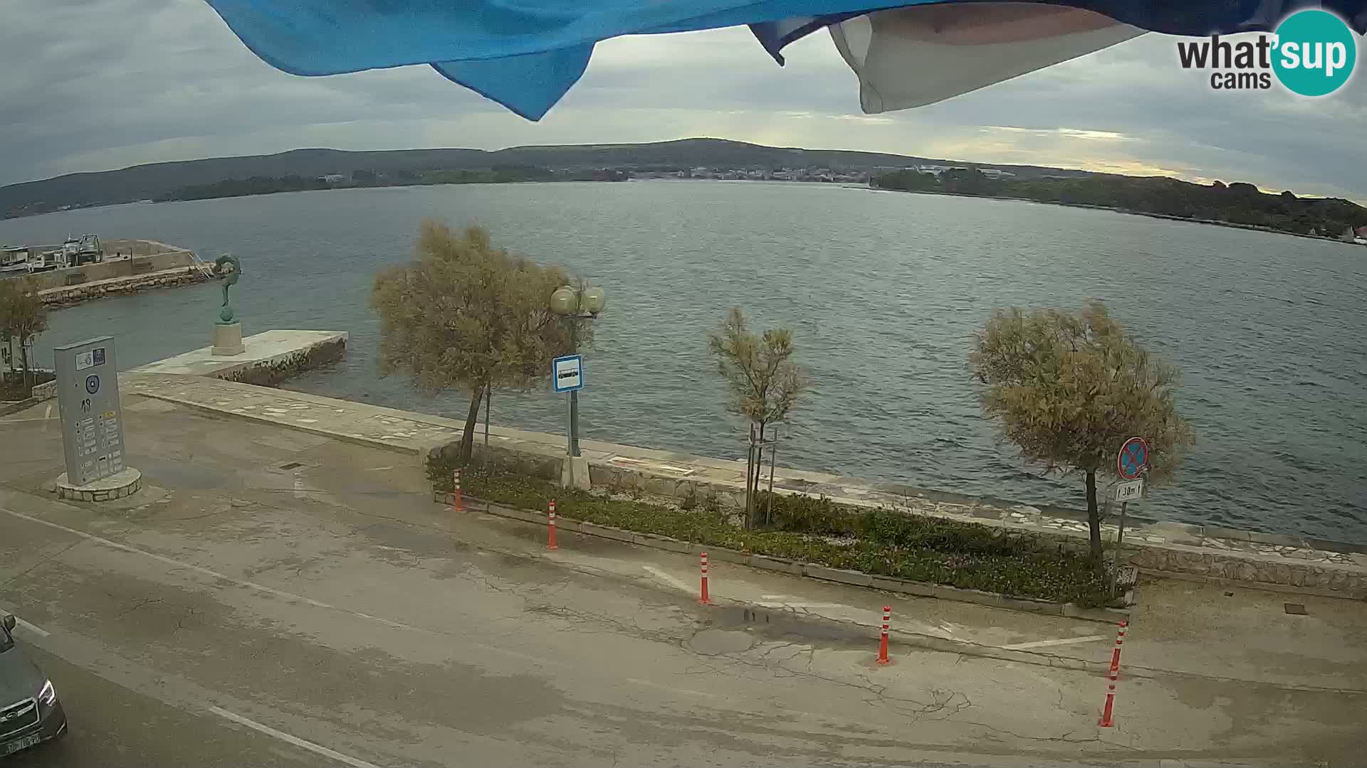 Live Cam Pašman