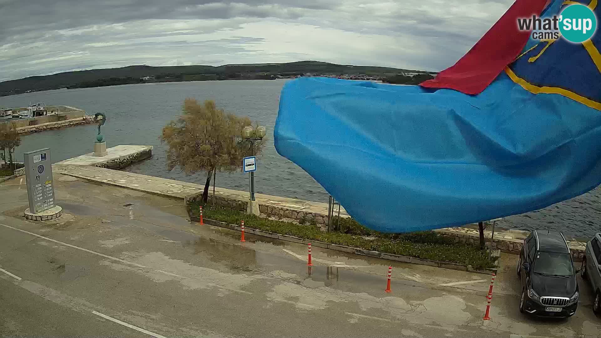 Live Cam Pašman