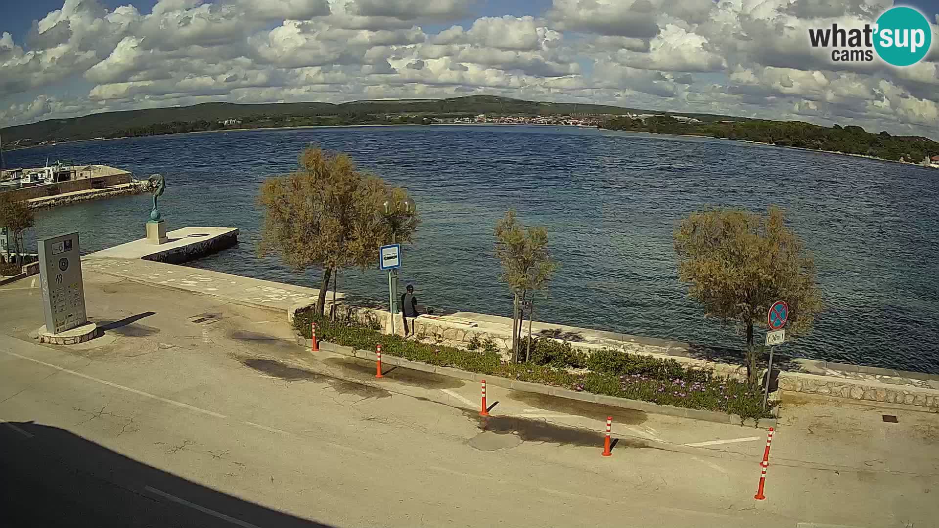 Live Cam Pašman