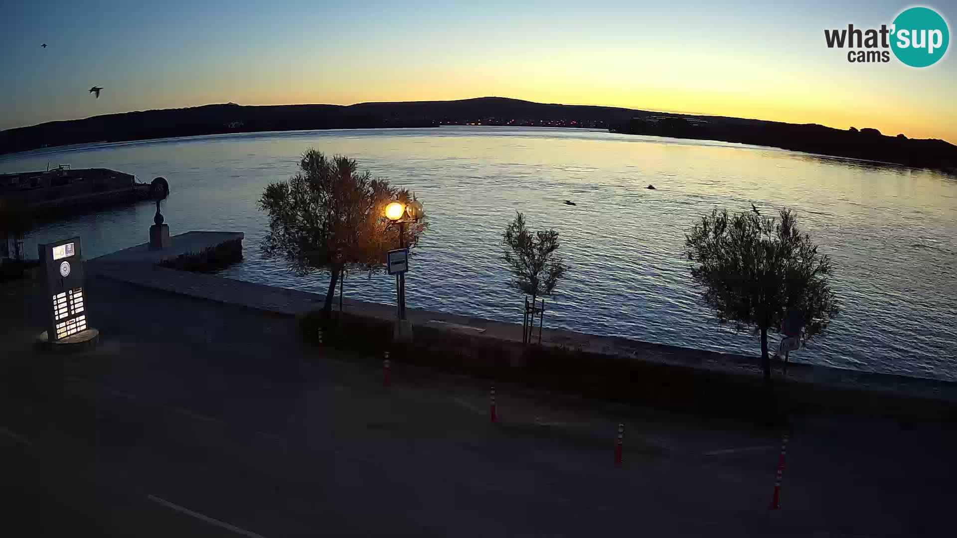 Webcam Pašman