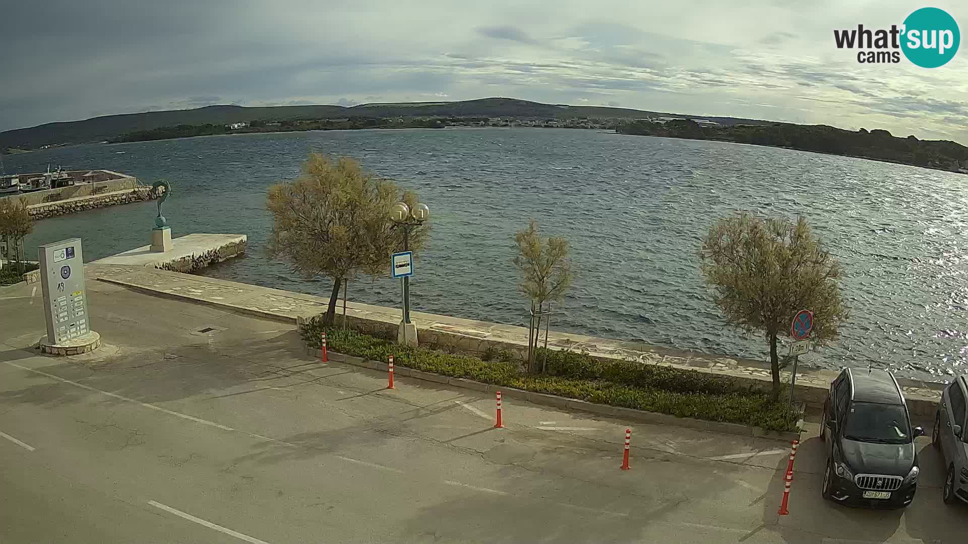 Camera en Vivo Pašman