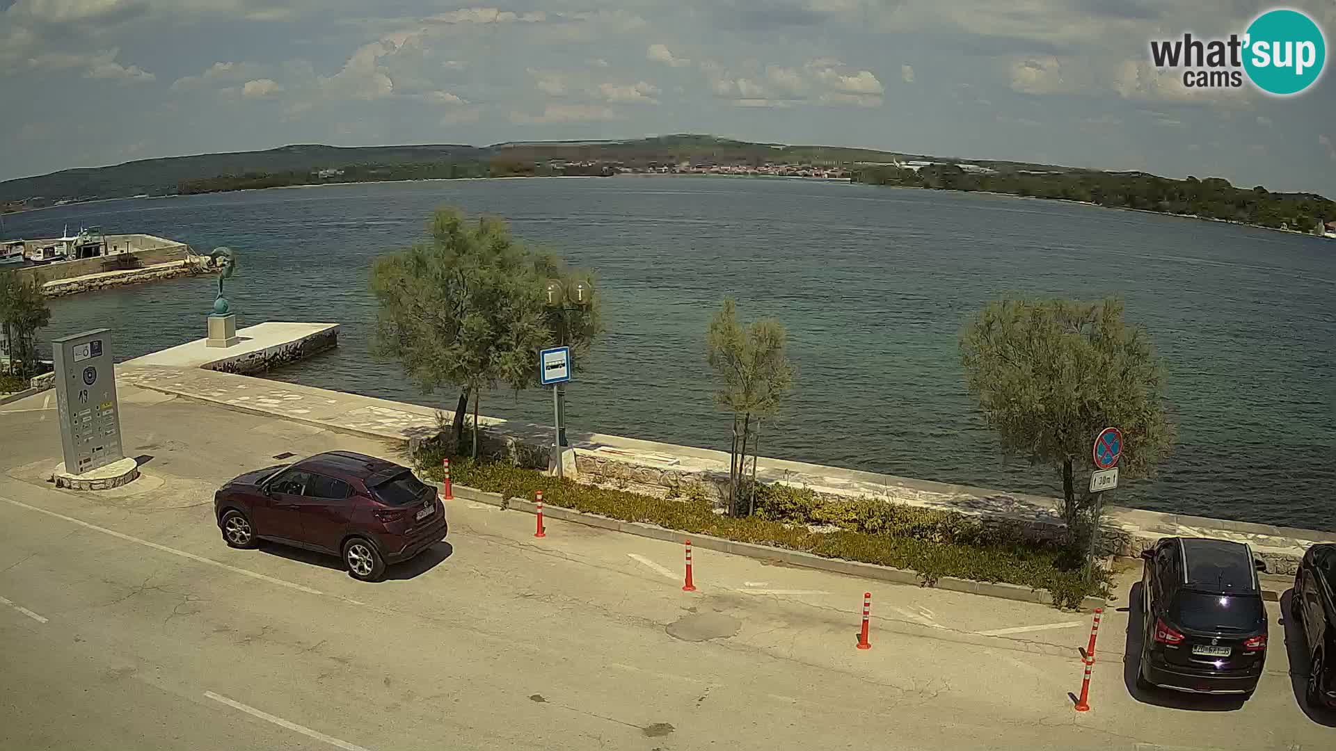 Camera en Vivo Pašman