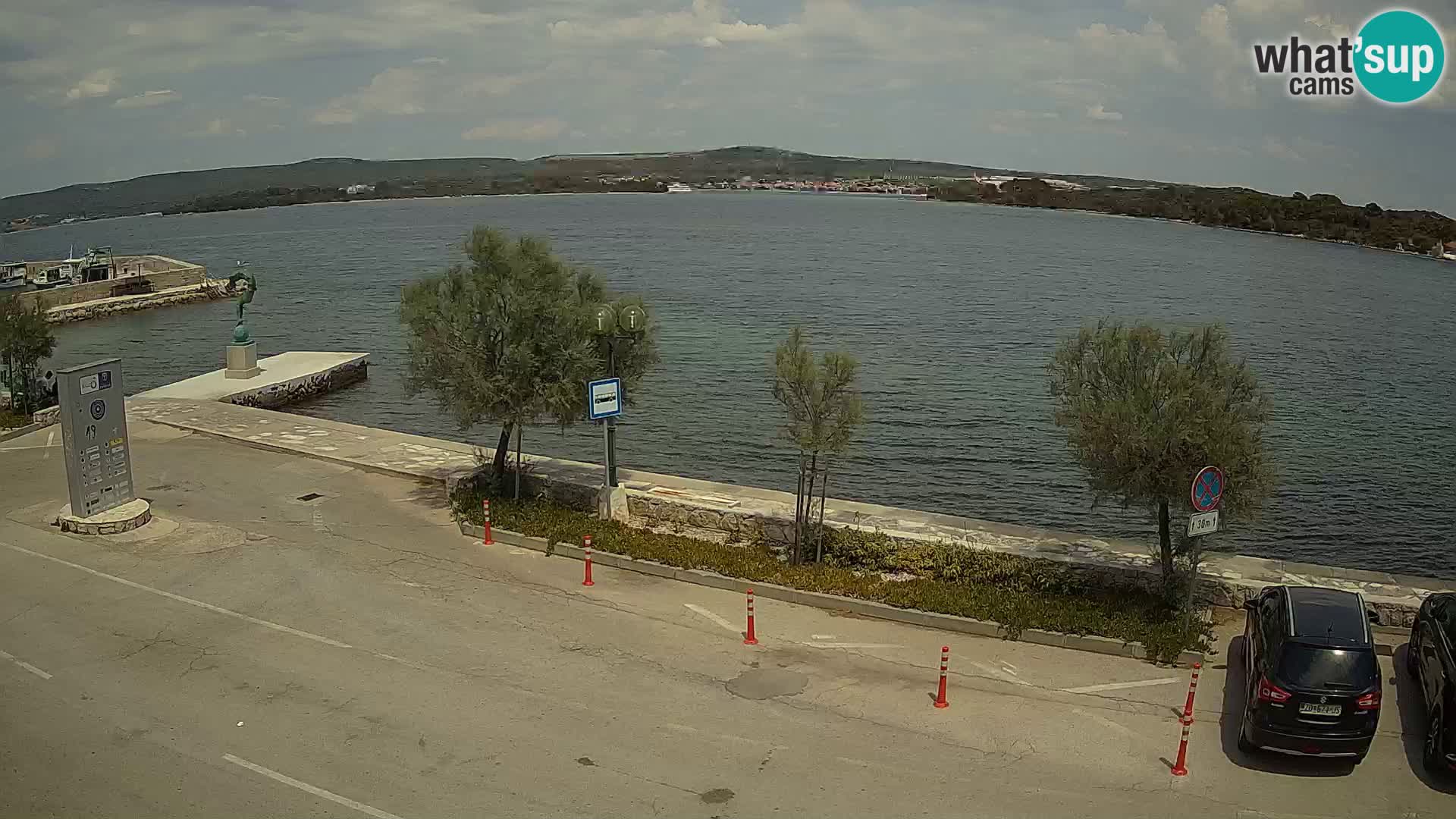 Camera en Vivo Pašman