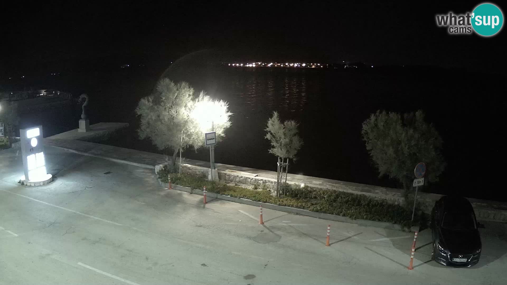 Live Cam Pašman