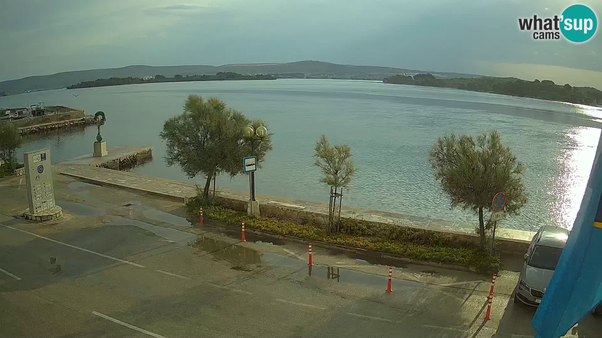 Live Cam Pašman