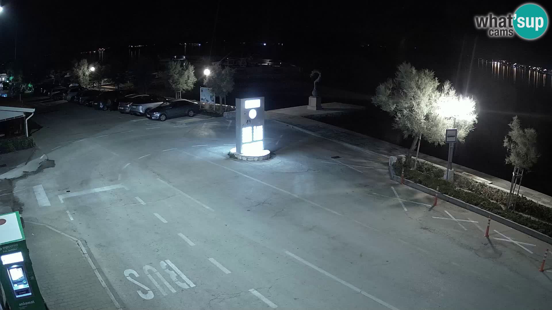 Live Cam Pašman