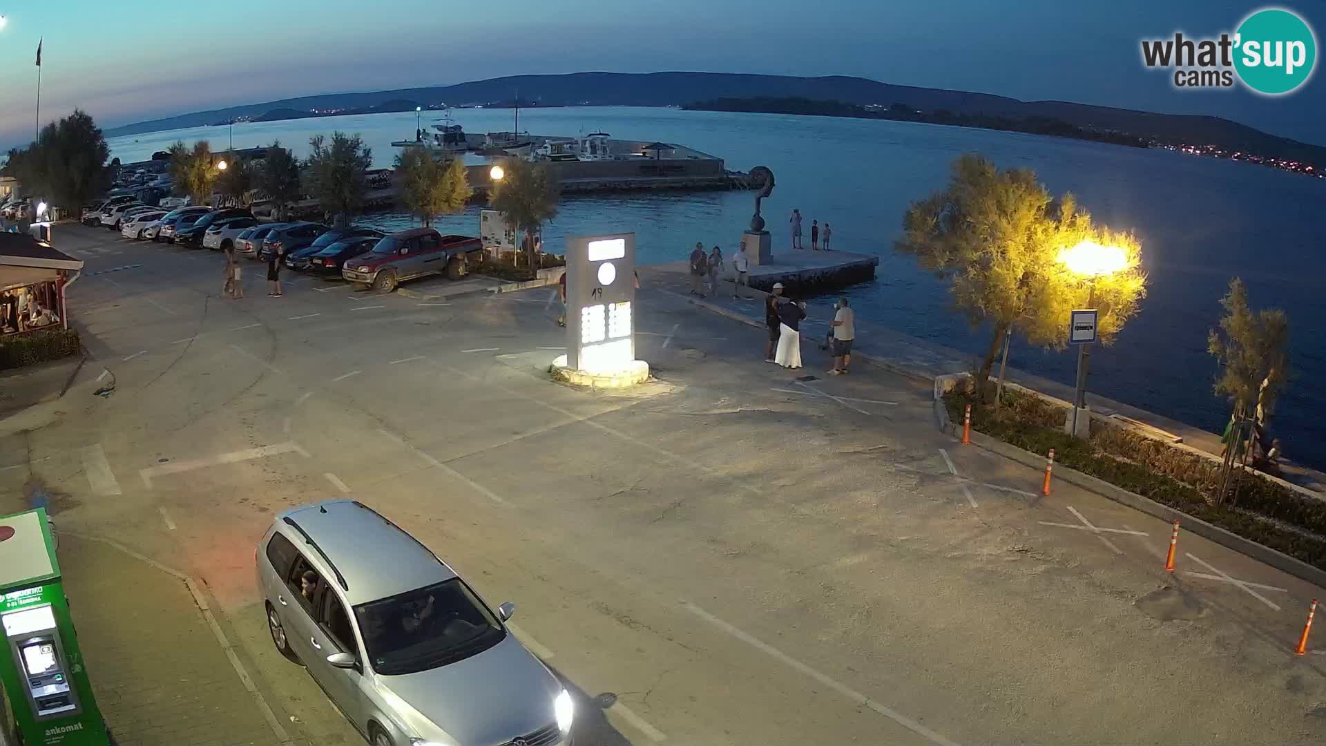 Live Cam Pašman