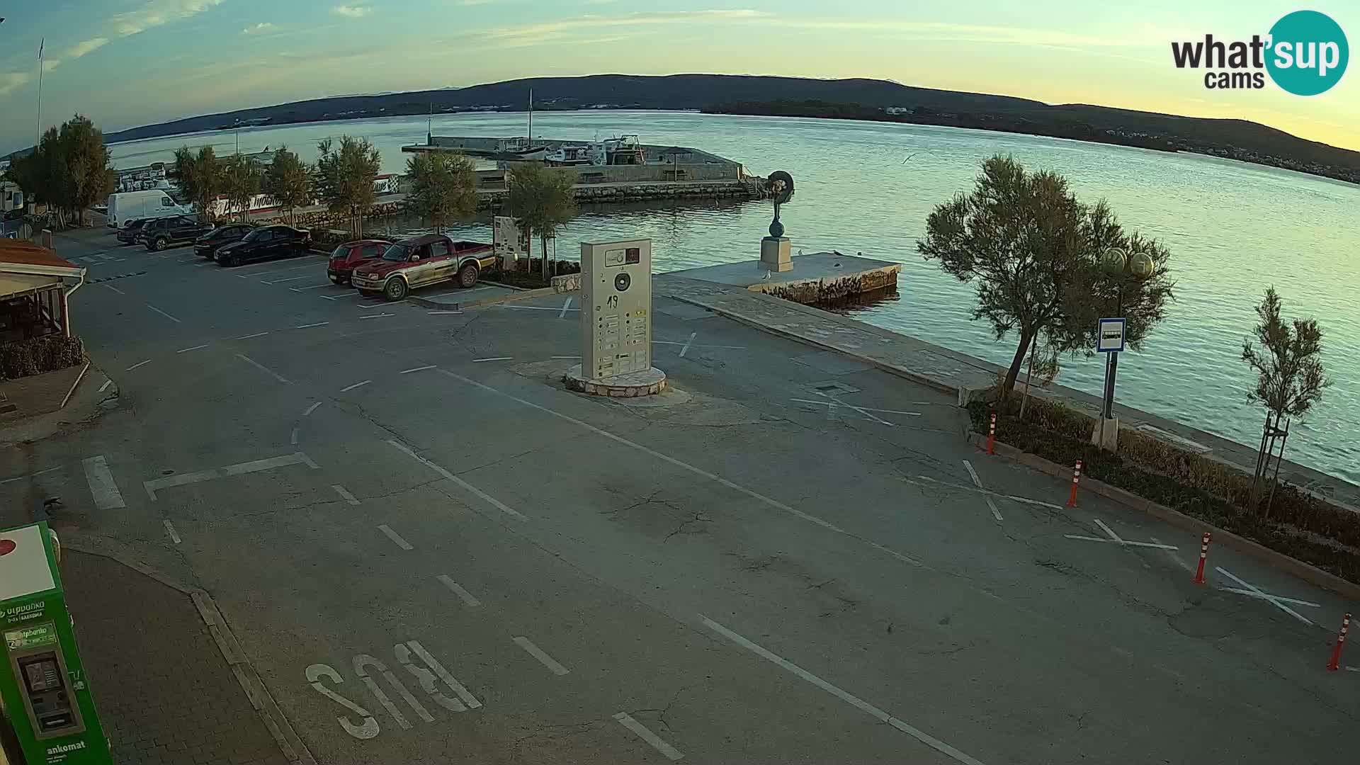 Live Cam Pašman