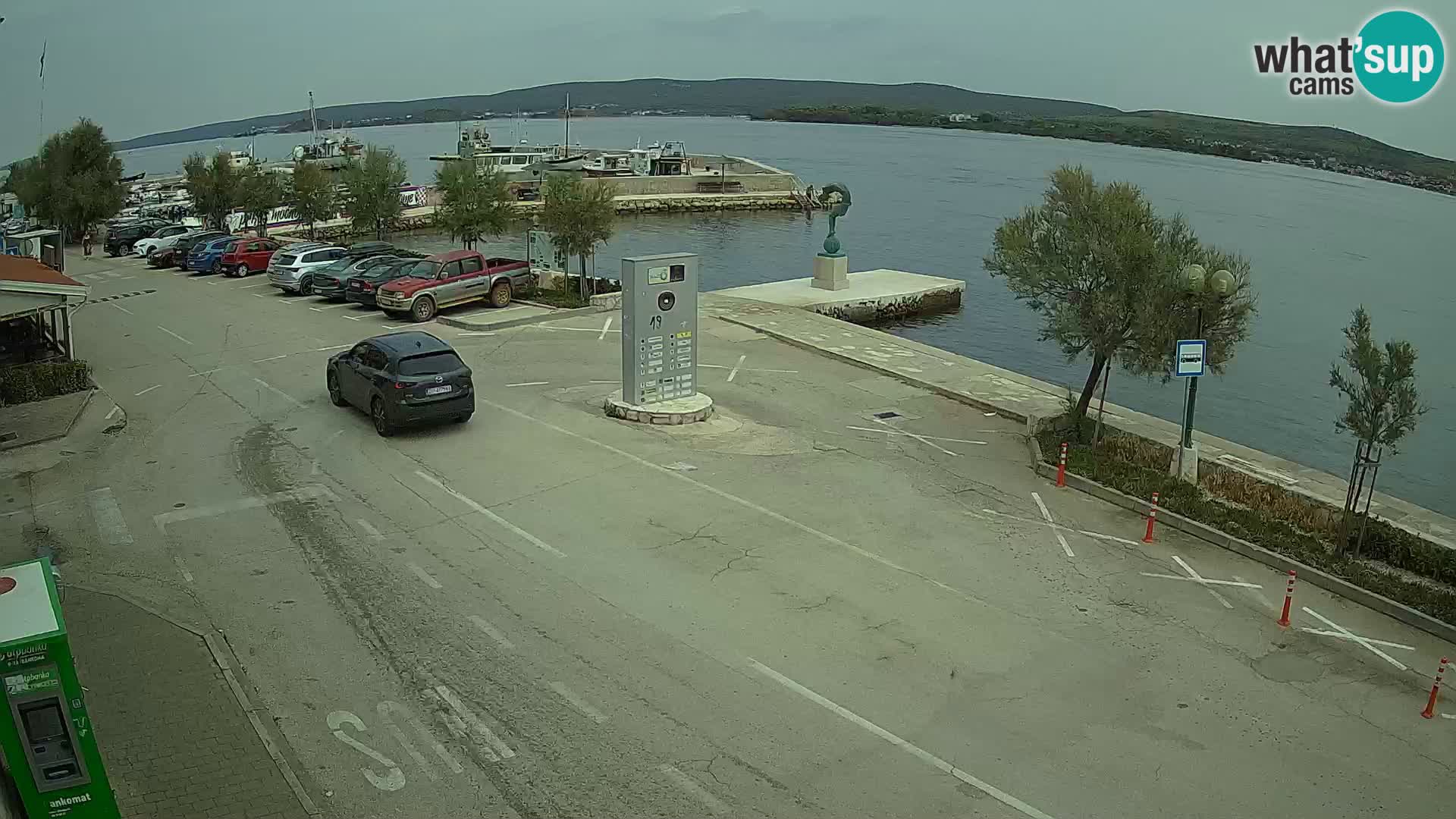 Live Cam Pašman
