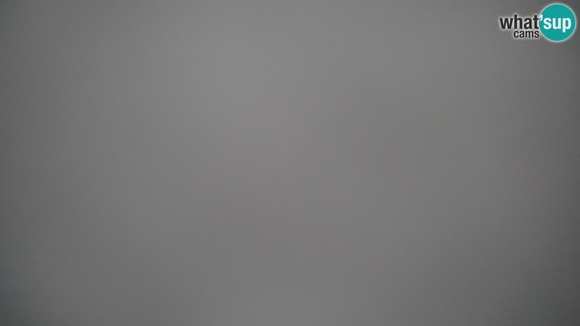 Webcam Live – Spiaggia Planjka isola di Pag