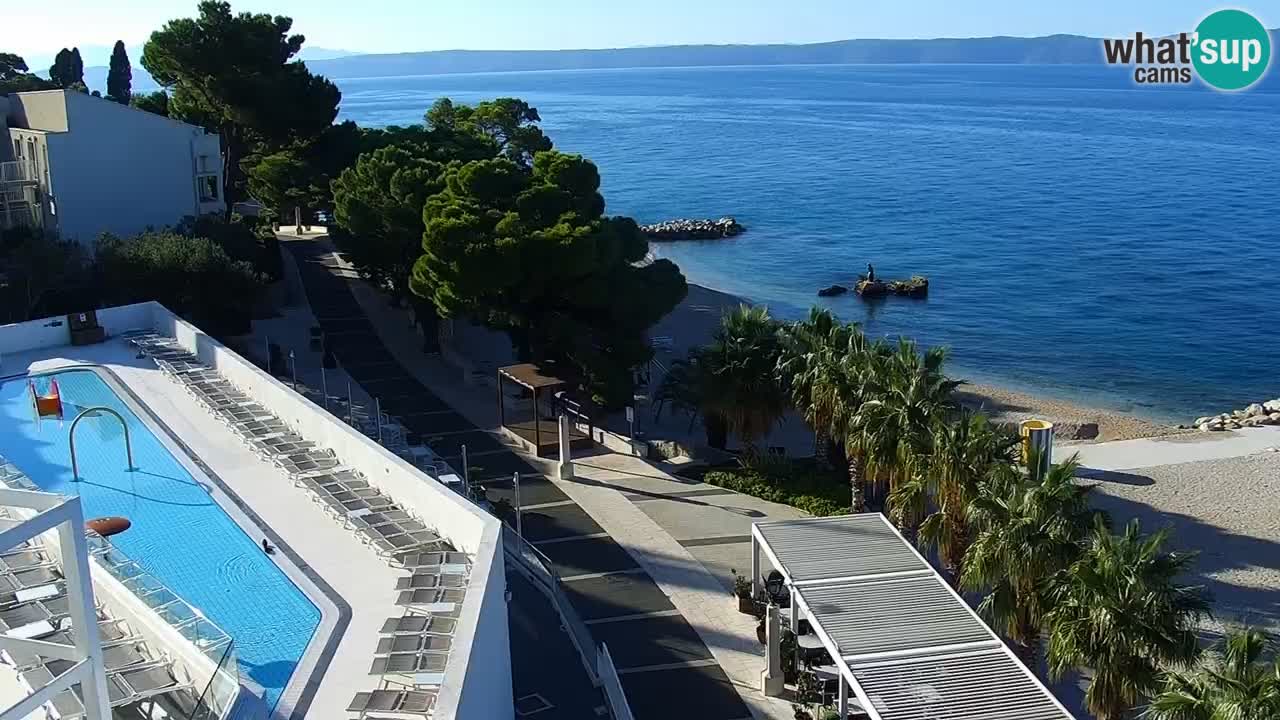 Live webcam Podgora beach – Dalmatia – Croatia