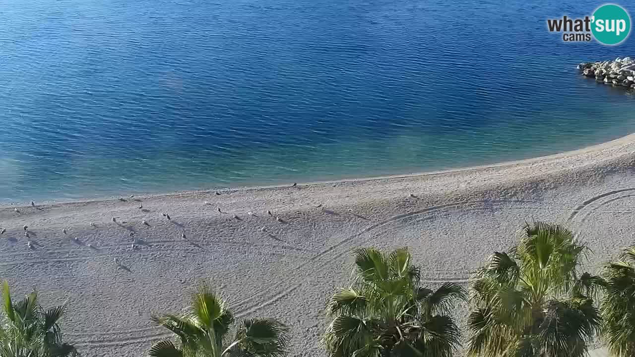 Plage in Podgora