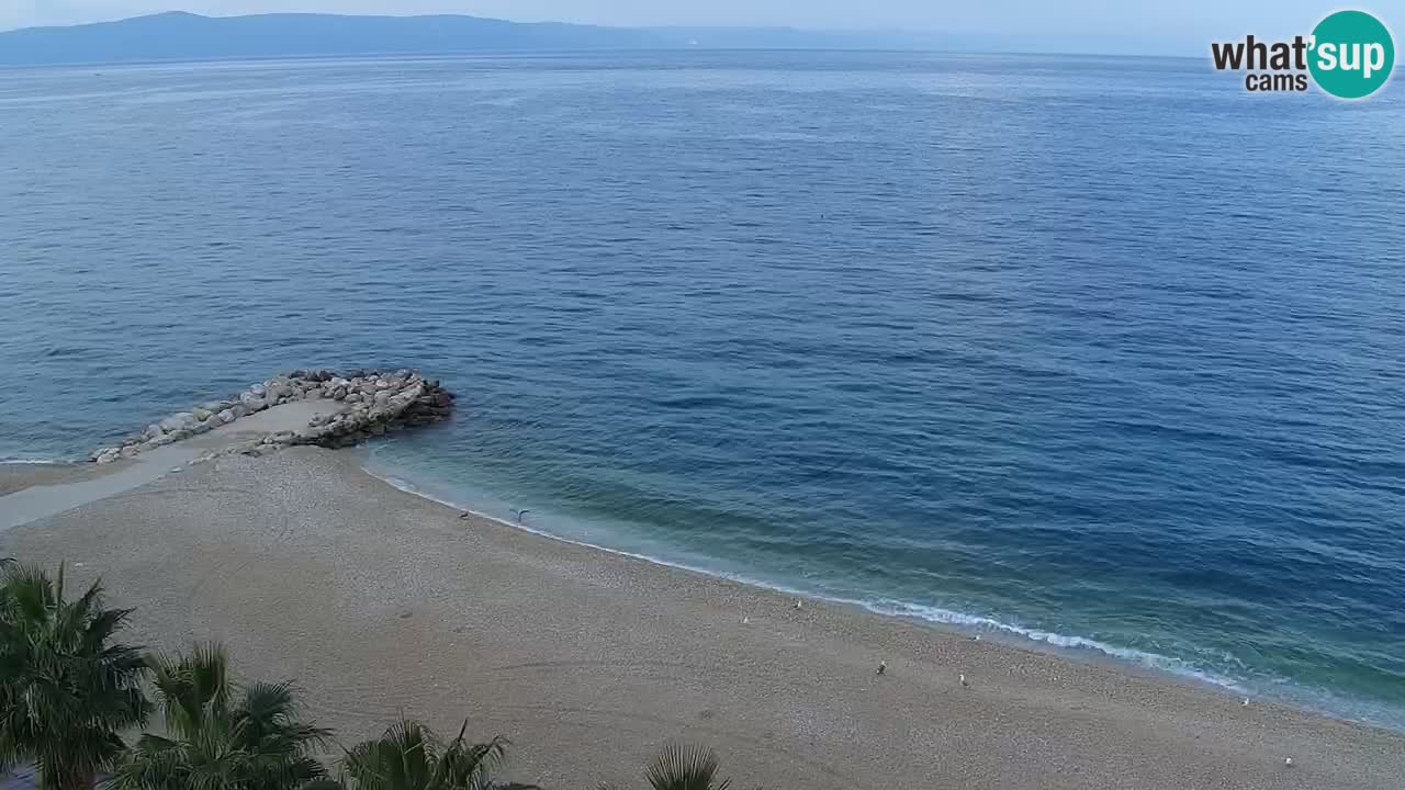 Playa in Podgora