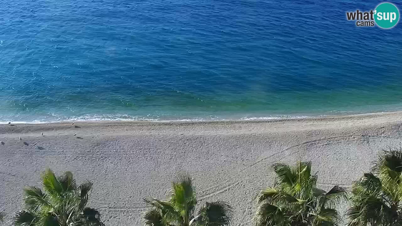 Playa in Podgora