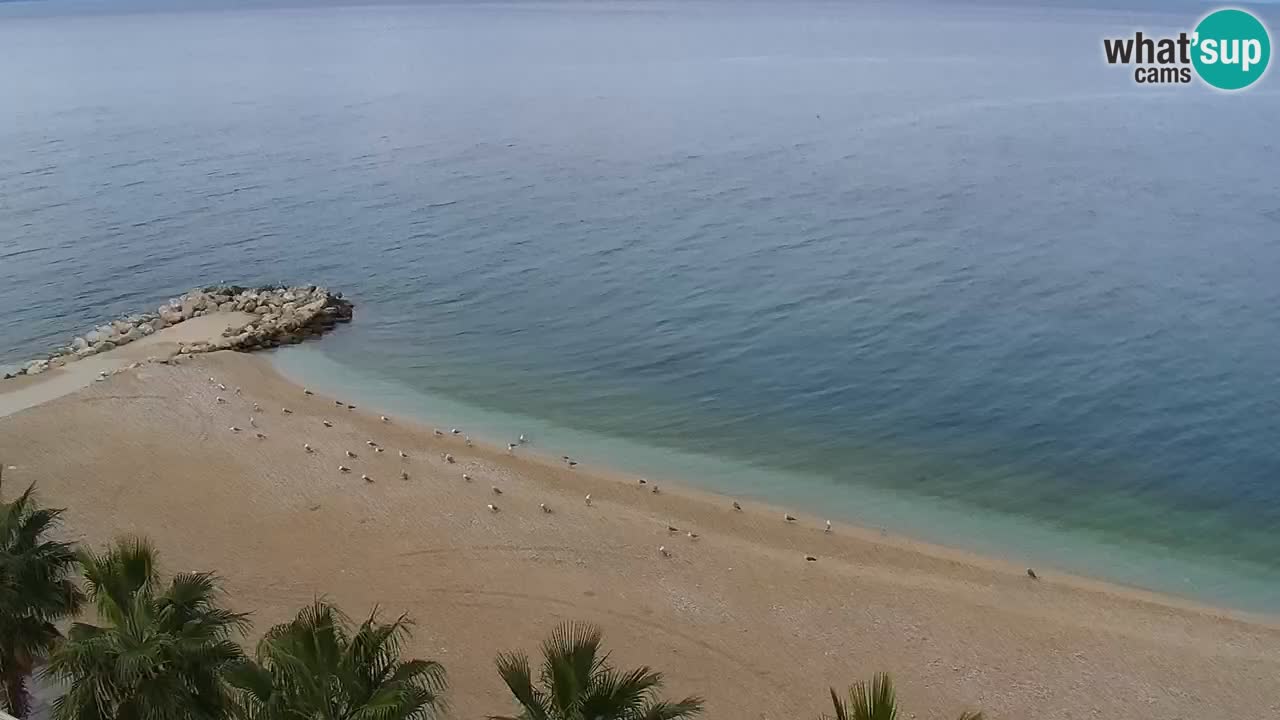 Plaža v Podgori