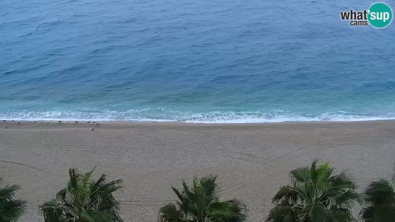 Playa in Podgora