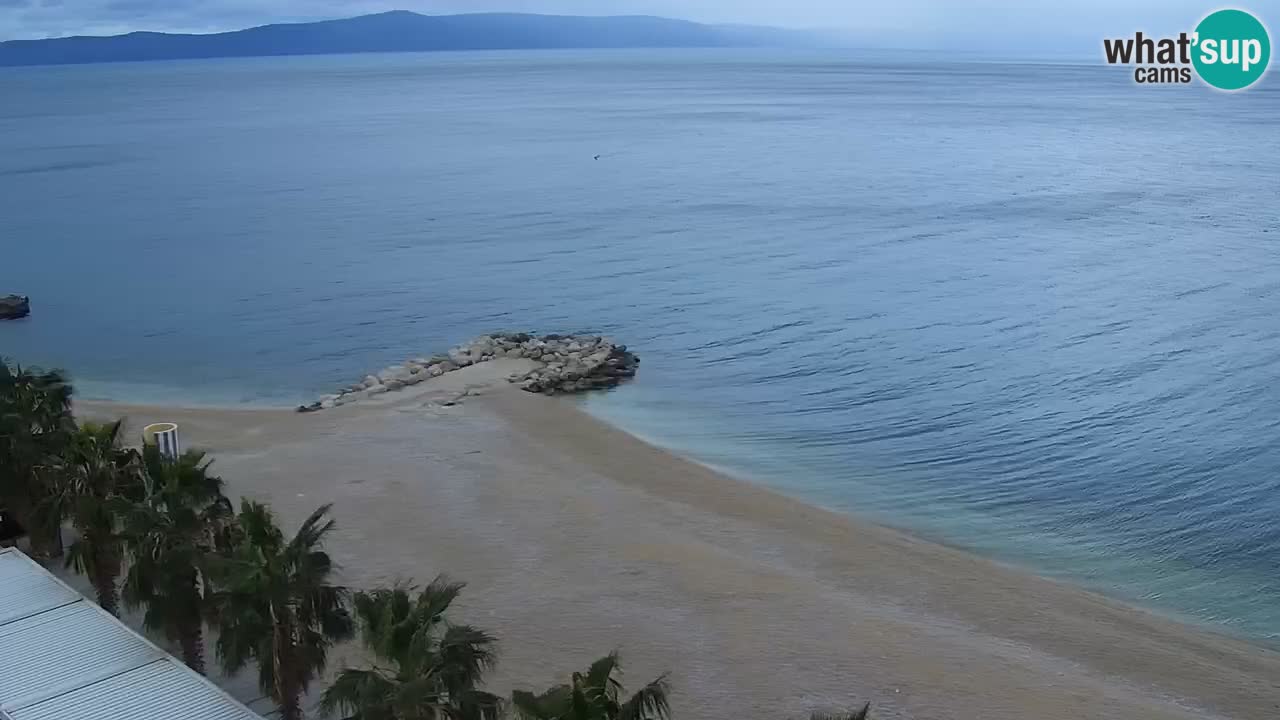 Plage in Podgora