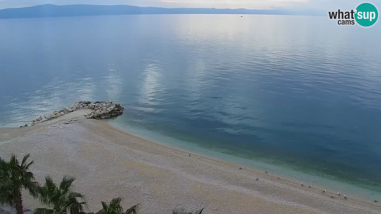 Plaža v Podgori