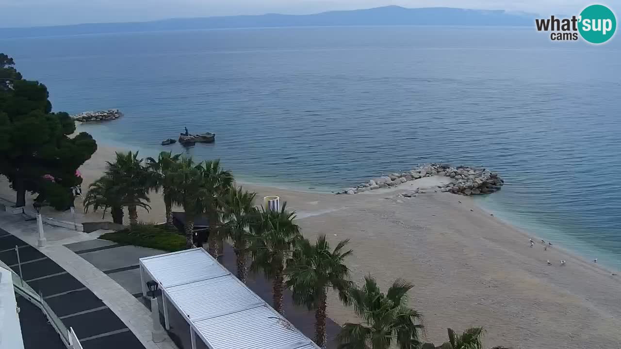 Plage in Podgora