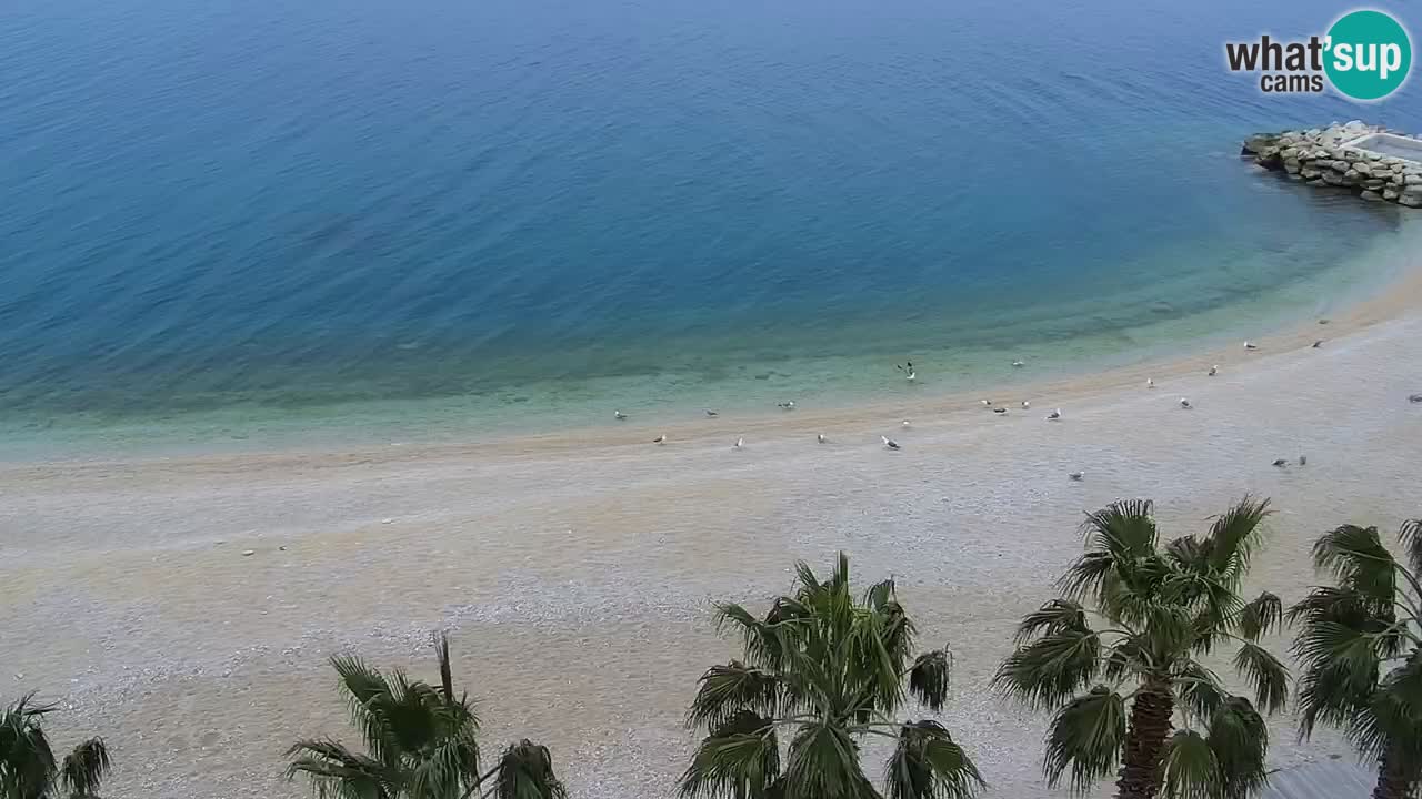 Strand in Podgora