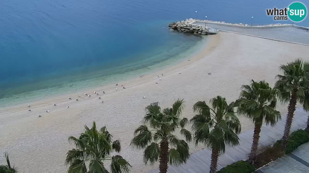 Playa in Podgora