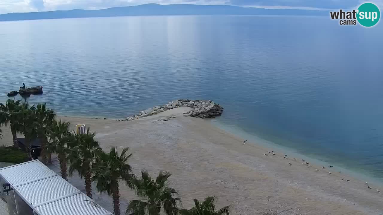 Plage in Podgora