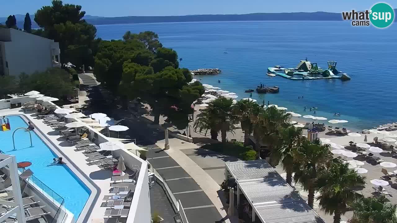 Live webcam Podgora beach – Dalmatia – Croatia