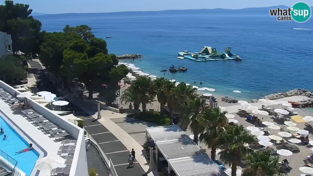 Plage in Podgora