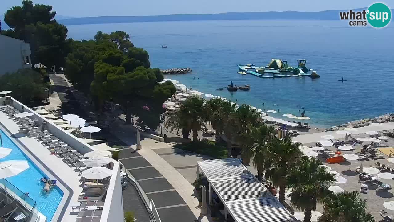 Plage in Podgora
