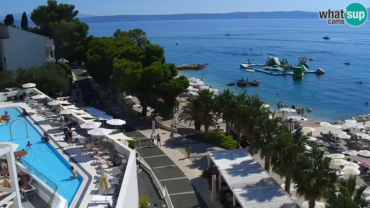 Playa in Podgora