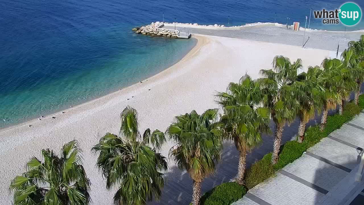 Plage in Podgora