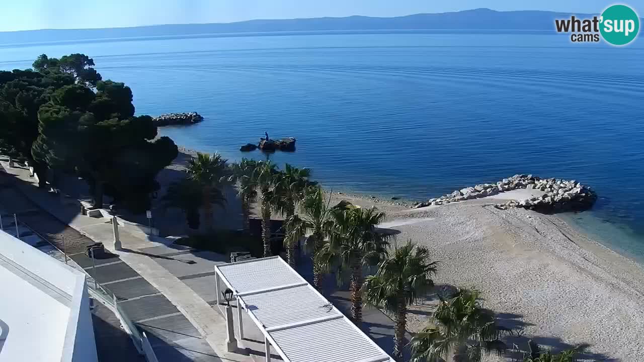 Plage in Podgora