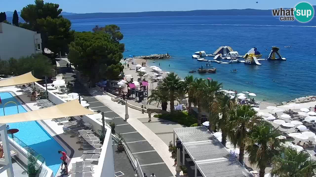 Plage in Podgora