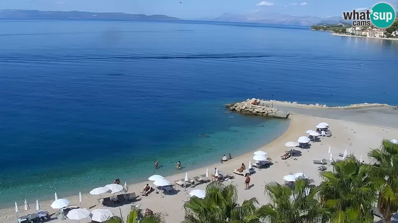 Playa in Podgora