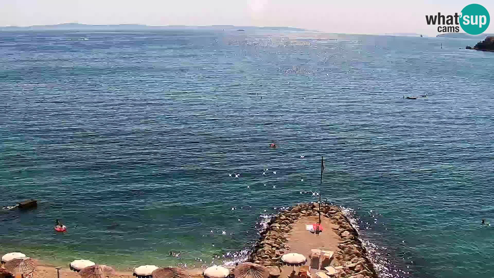 Web kamera Plaža Podstrana – Pogled uživo