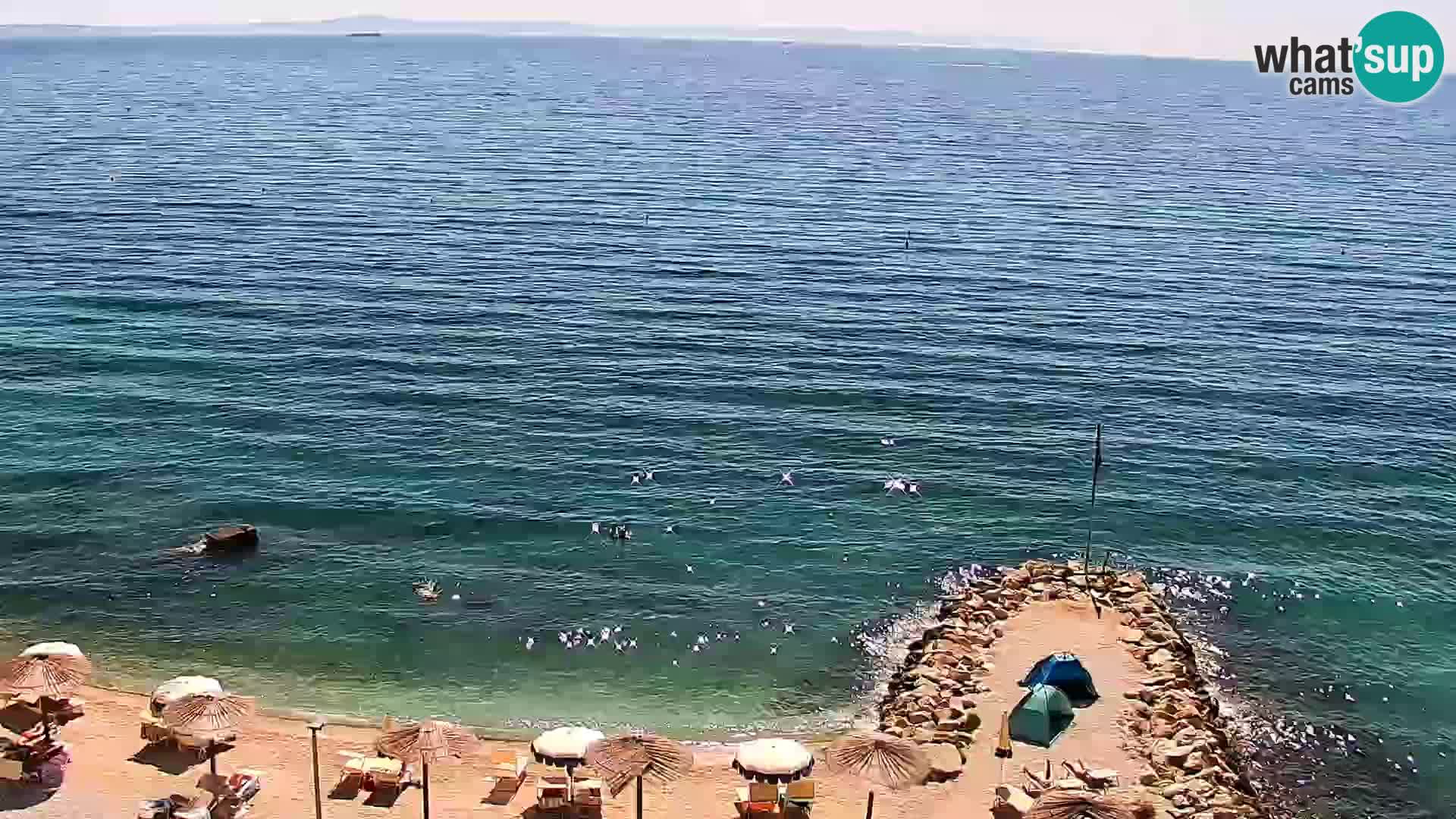 Podstrana Beach Webcam – Live View from Hotel Split