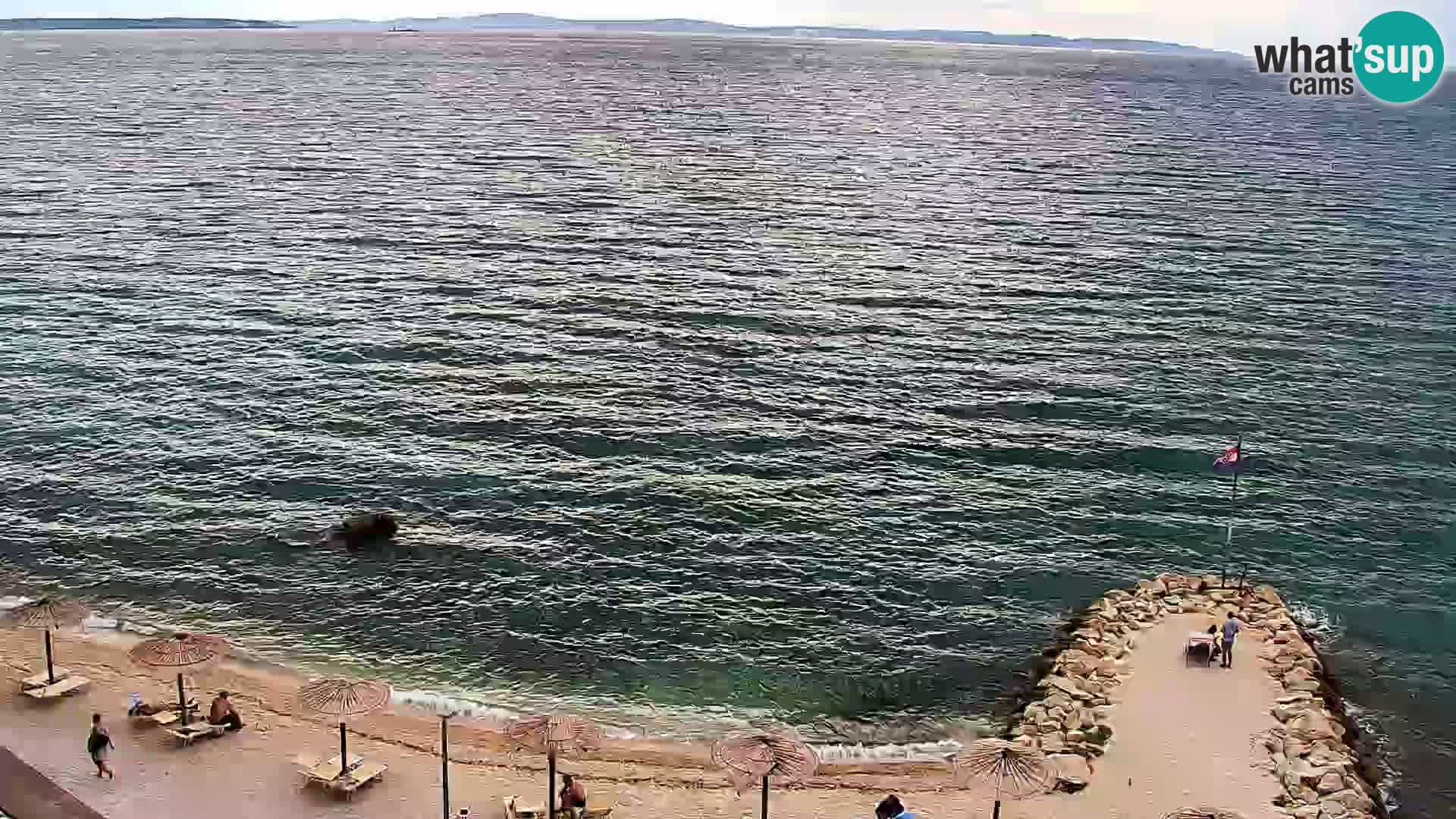 Podstrana Beach Webcam – Live View from Hotel Split