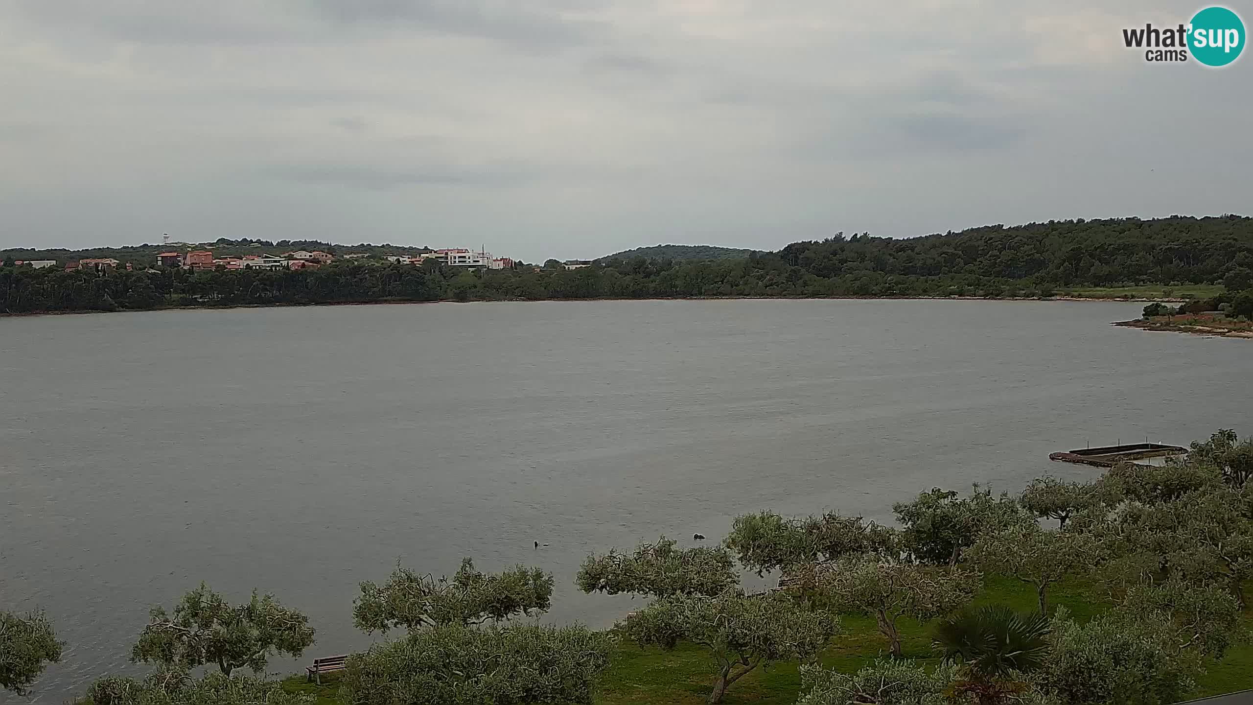 Webcam dal vivo Pomer – Šćuza – Medulin – Istria – Croazia