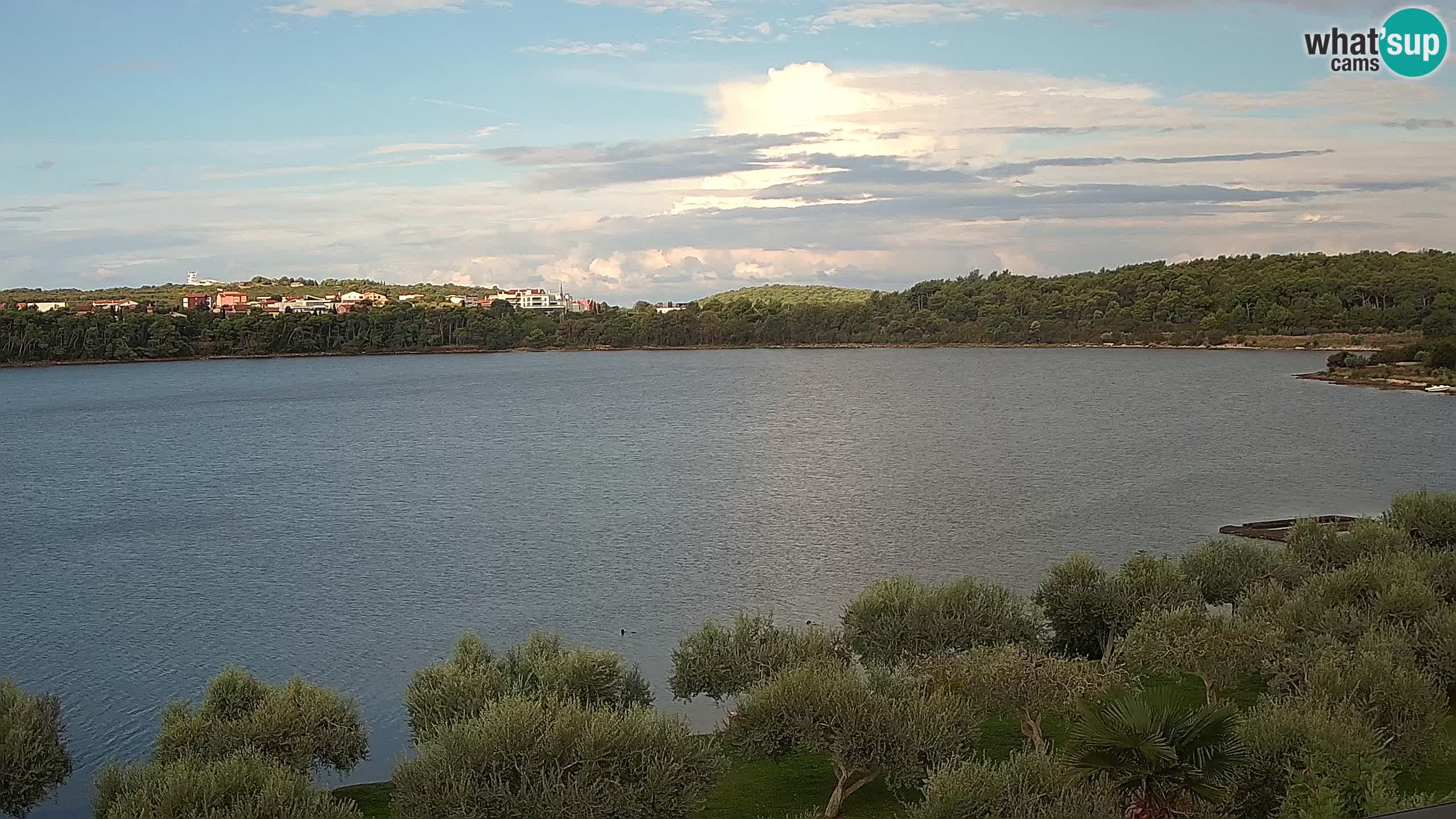 Spletna kamera v živo Pomer – Šćuza – Medulin – Istra – Hrvaška