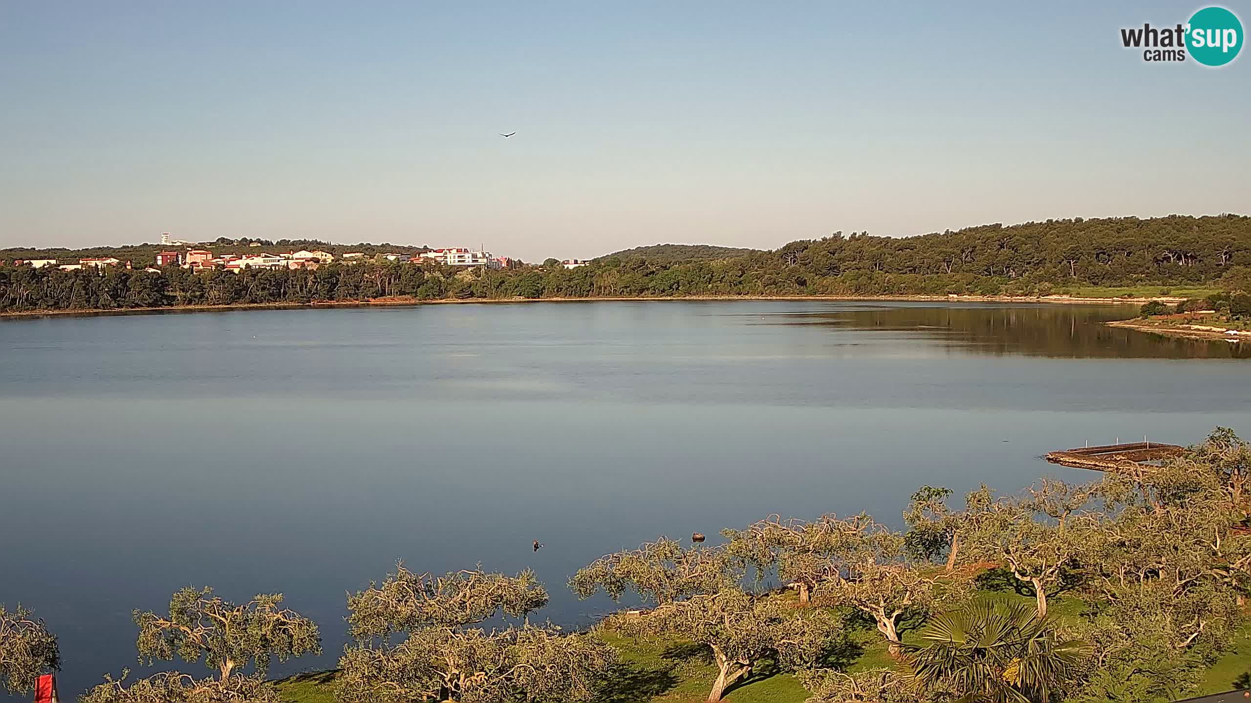 Webcam dal vivo Pomer – Šćuza – Medulin – Istria – Croazia