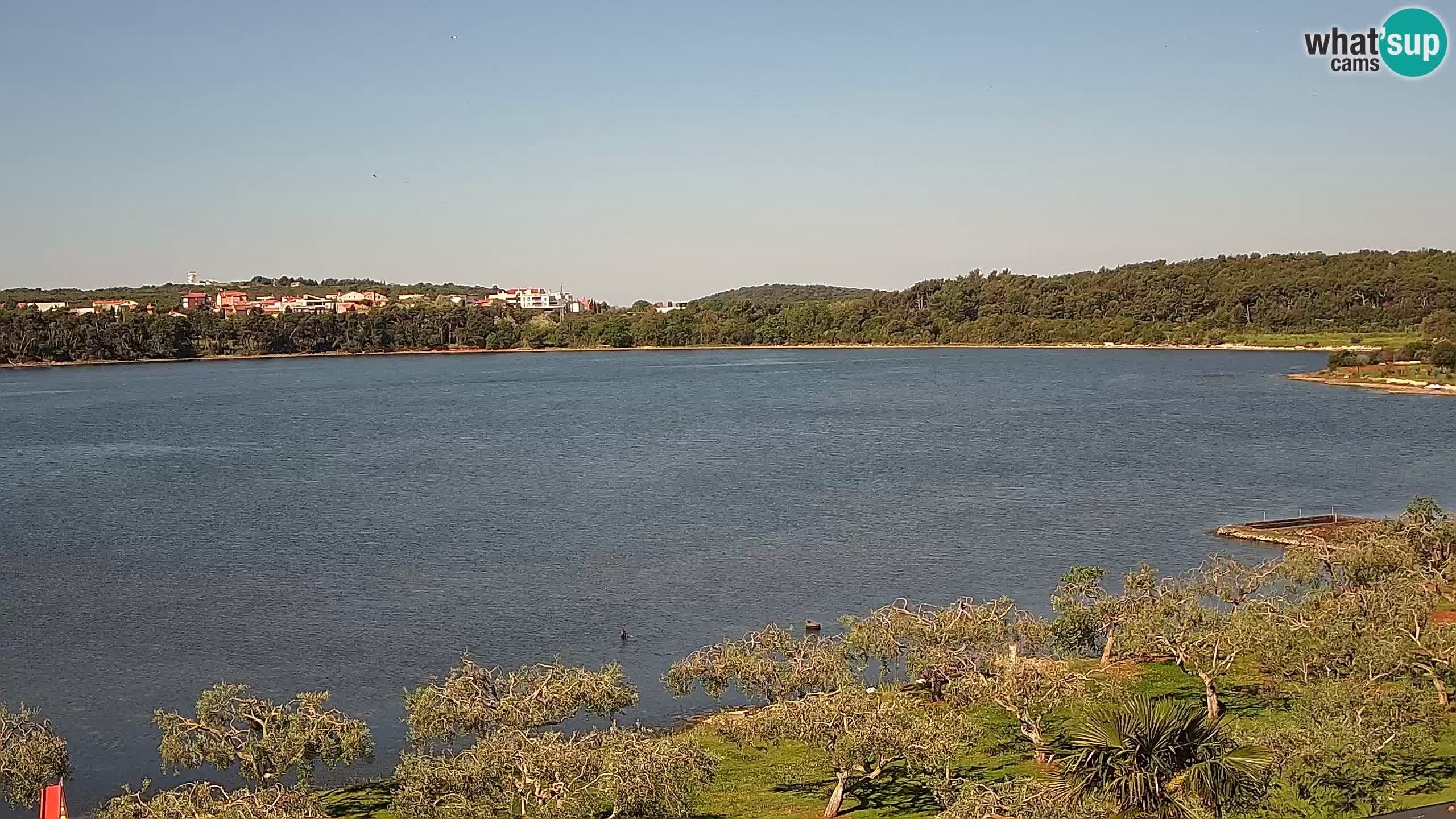 Spletna kamera v živo Pomer – Šćuza – Medulin – Istra – Hrvaška