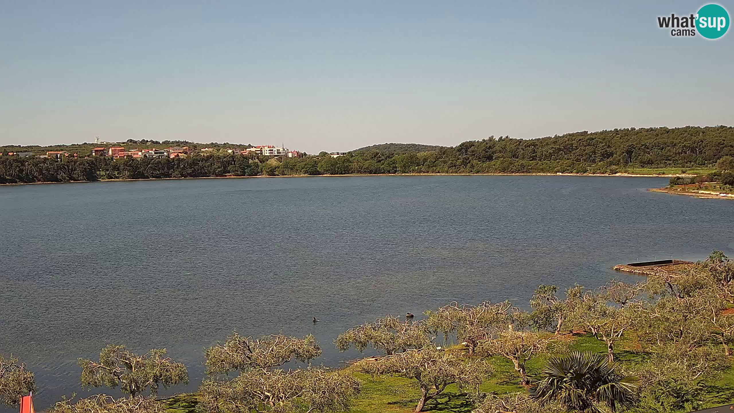Webcam en direct Pomer – Šćuza – Medulin – Istrie – Croatie