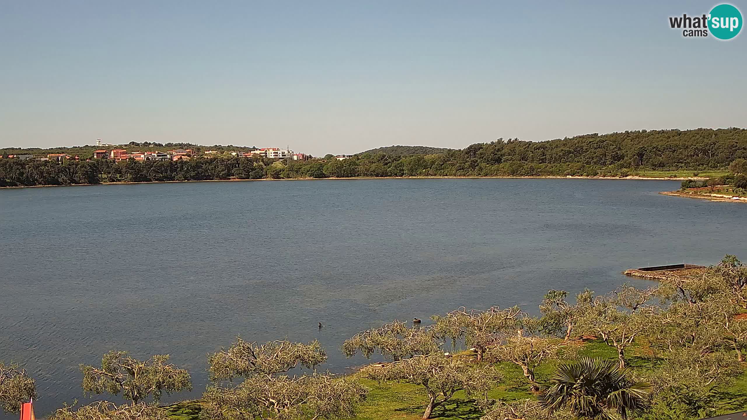 Webcam dal vivo Pomer – Šćuza – Medulin – Istria – Croazia