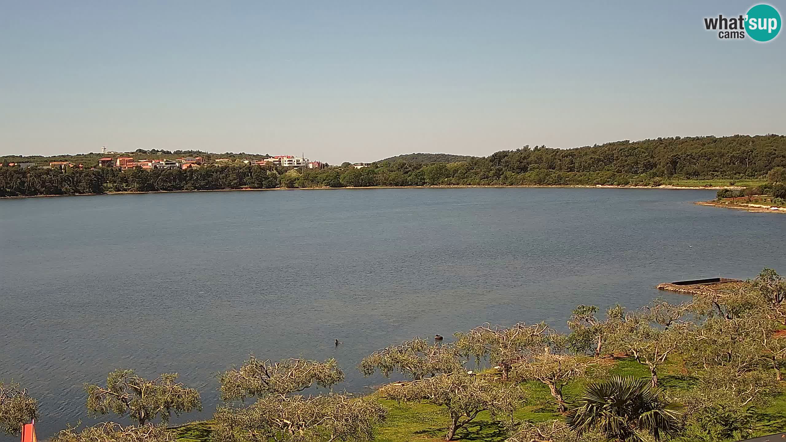 Webcam en direct Pomer – Šćuza – Medulin – Istrie – Croatie
