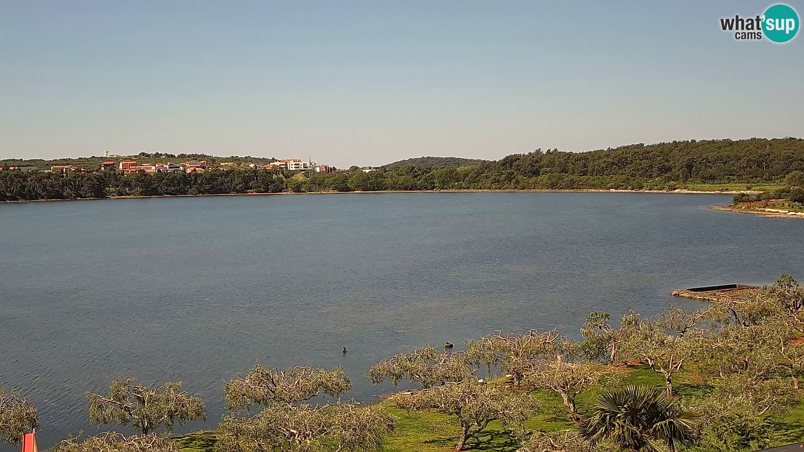 Live-Webcam Pomer – Šćuza – Medulin – Istrien – Kroatien