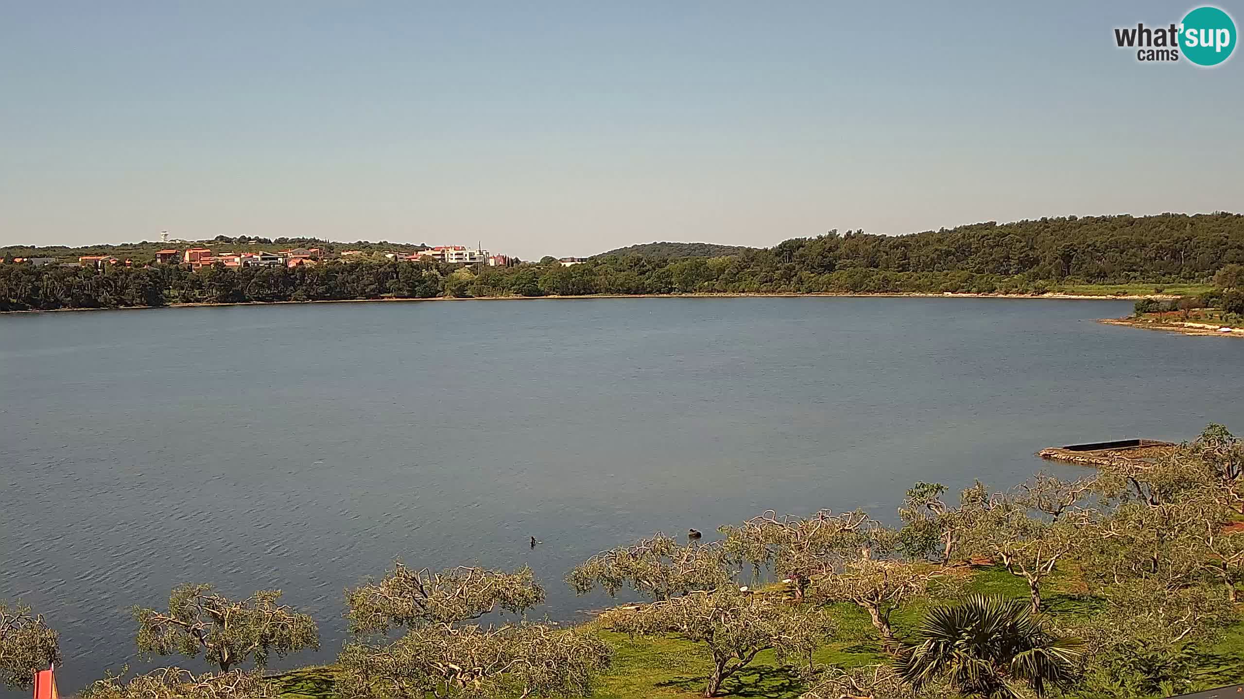 Spletna kamera v živo Pomer – Šćuza – Medulin – Istra – Hrvaška