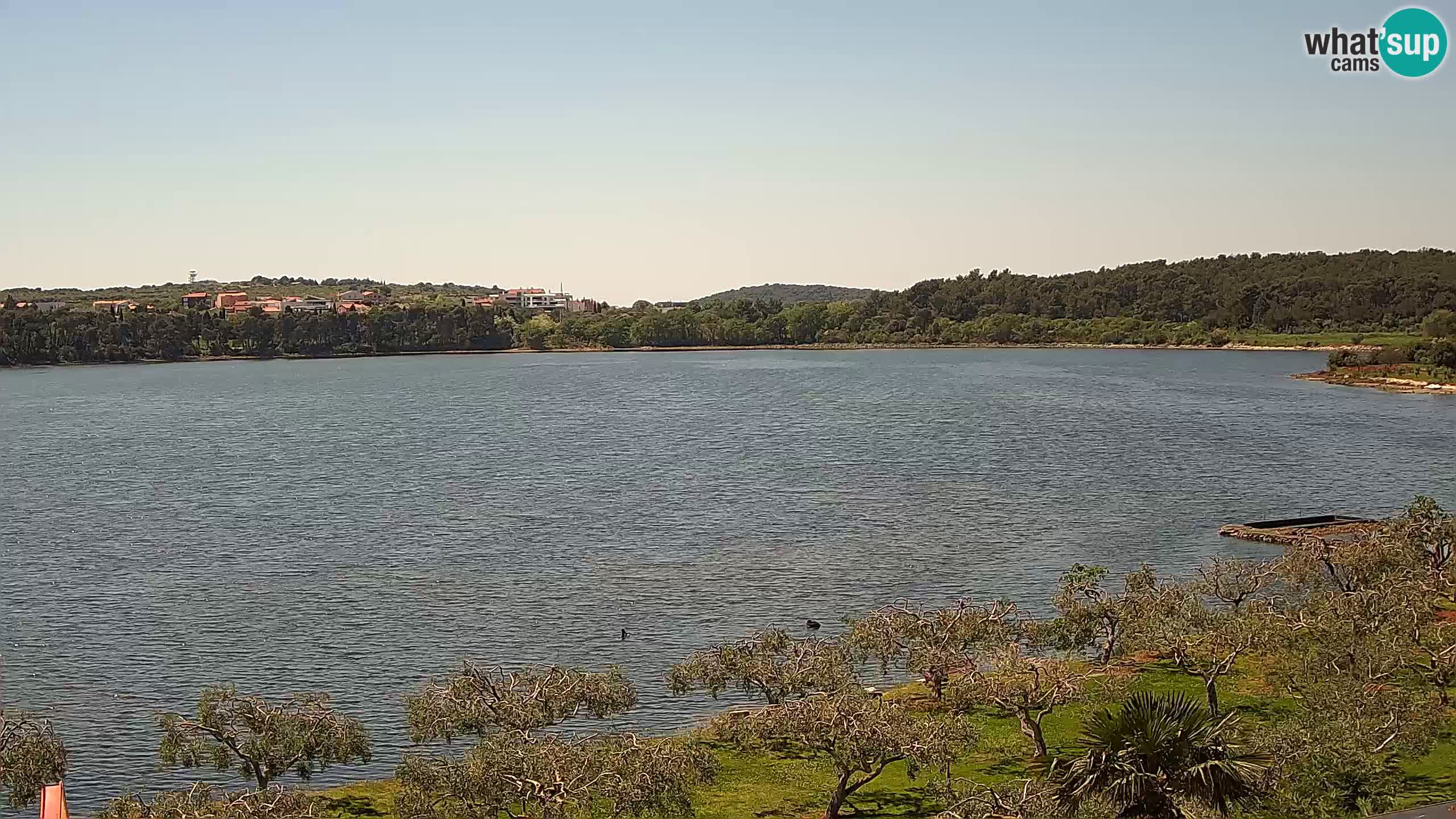 Spletna kamera v živo Pomer – Šćuza – Medulin – Istra – Hrvaška