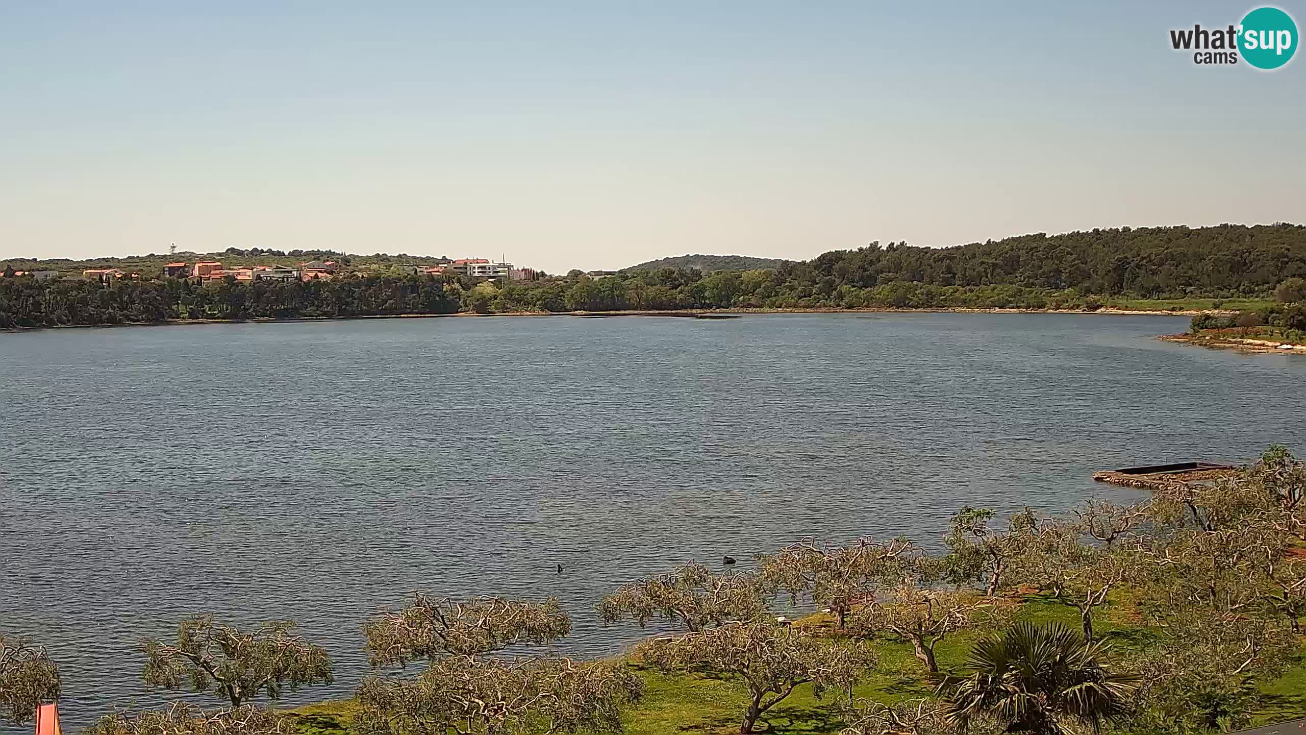 Webcam en direct Pomer – Šćuza – Medulin – Istrie – Croatie