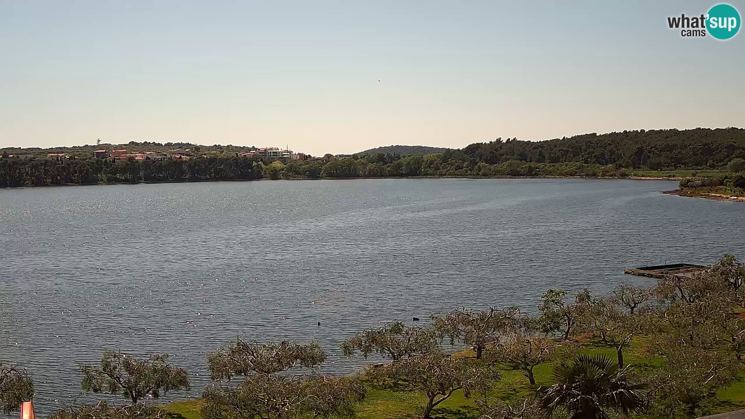 Webcam dal vivo Pomer – Šćuza – Medulin – Istria – Croazia